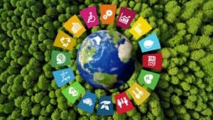 Aligning Environmental Health and Safety (EHS) Management Practices to the Sustainable Development Goals (SDG)