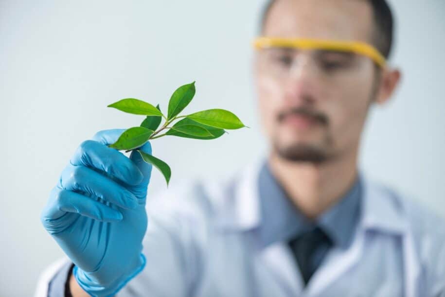 The History and Value of Green Chemistry
